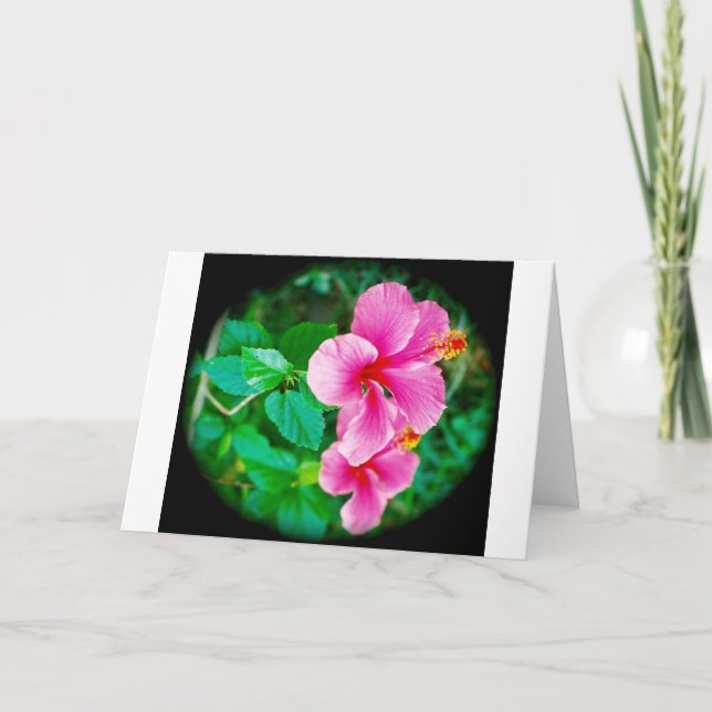 Cartão Happy Hibiscus All-Occasion greeting card (Frente)