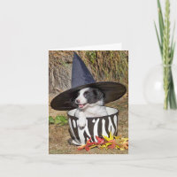Happy "Howloween" !