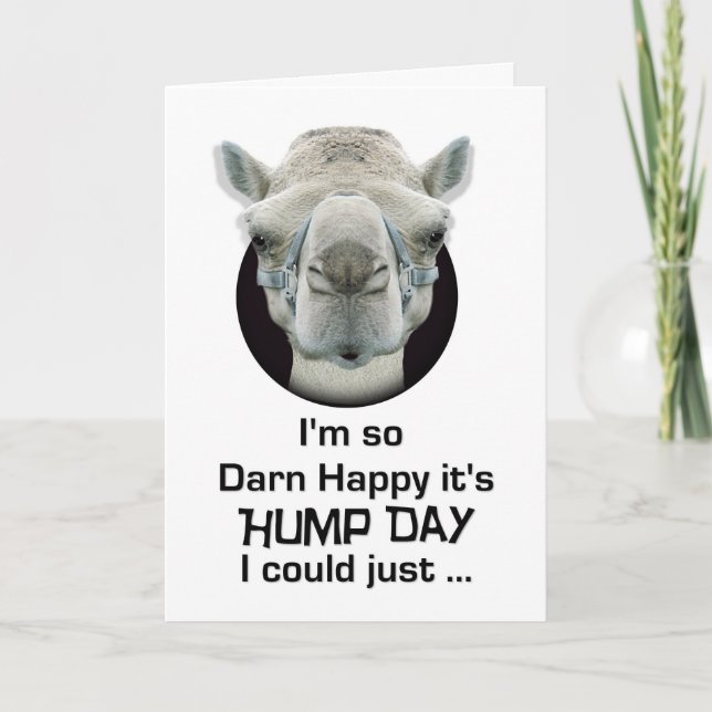 Cartão Happy Hump Day Funny Camel Spit (Frente)