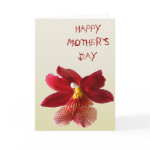 Happy Mother`s Day
