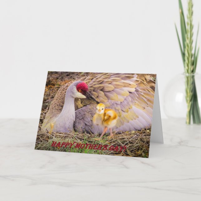 Cartão Happy Mother's Day! (Frente)