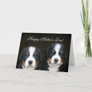 Cartão Happy Mother's Day Bernese Puppies greeting card