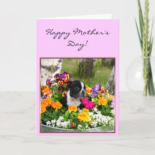 Cartão Happy Mother's day Boston Terrier greeting card (Frente)