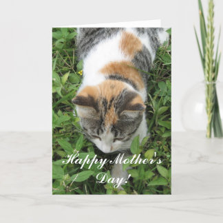 Cartão Happy Mother's Day Calico Cat Greeting card
