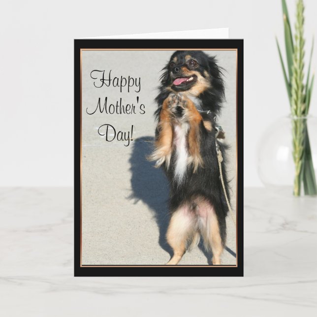 Cartão Happy Mother's Day Chihuahua Greeting Card (Frente)