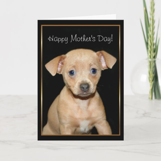 Cartão Happy Mother's Day Chihuahua pug greeting card (Frente)