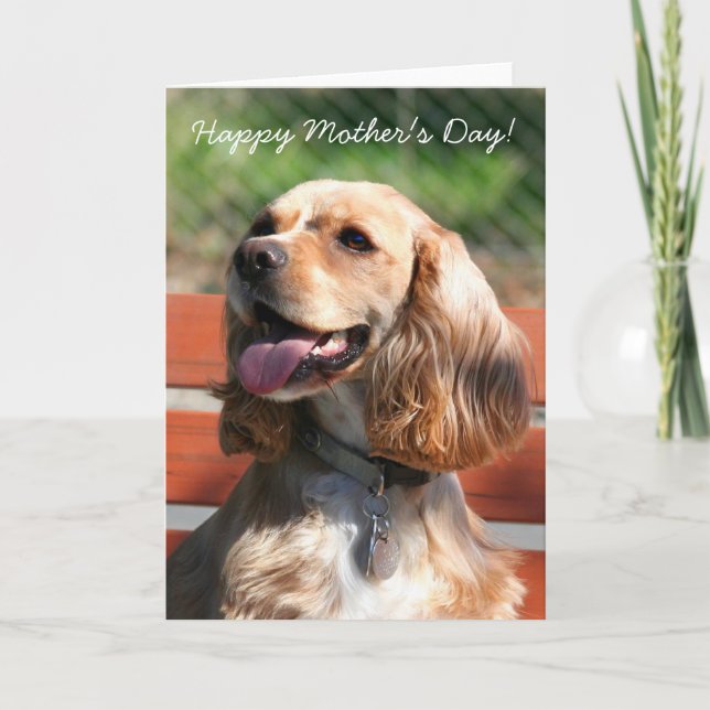 Cartão Happy Mother's Day Cocker spaniel greeting card (Frente)
