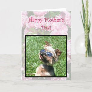Cartão Happy Mother's Day Cool Yorskshire Terrier card