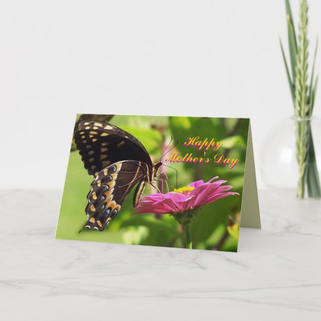 Cartão Happy Mother's Day, Friend, butterfly on flower (Frente)