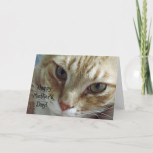 Cartão Happy Mother's Day from Cat