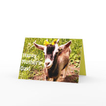 Happy Mother's Day From Your Favorite Kid (Goat)