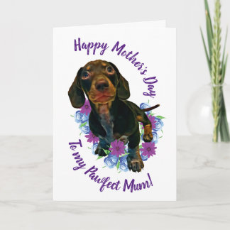 Cartão 'Happy Mother's Day' Look At Me Eyes Peanut Card