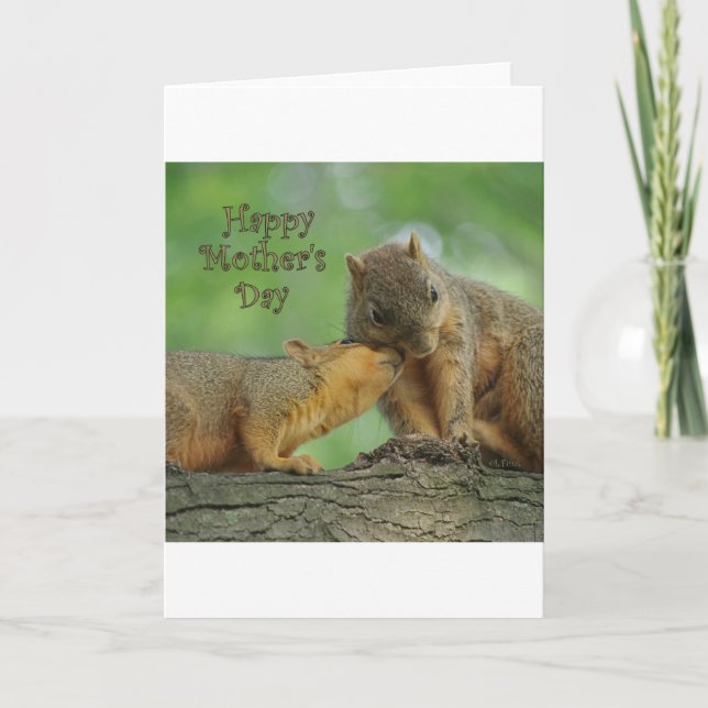 Cartão Happy Mother's Day - Mom and Baby Squirrel (Frente)