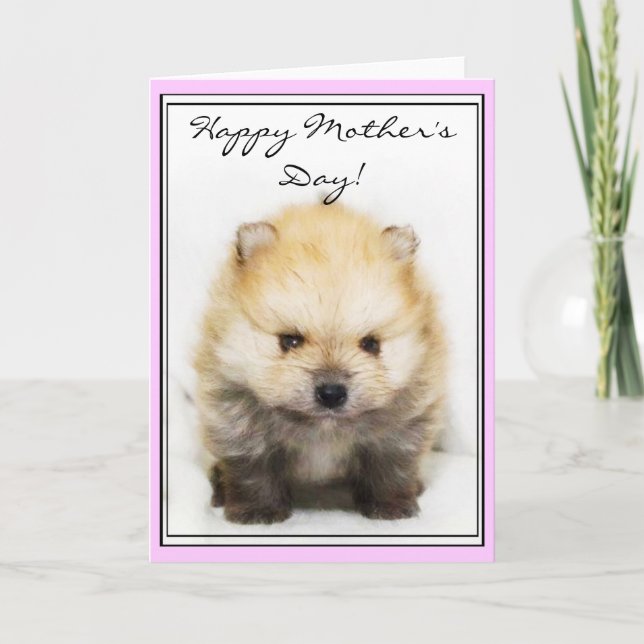 Cartão Happy Mother's Day Pomeranian puppy greeting card (Frente)