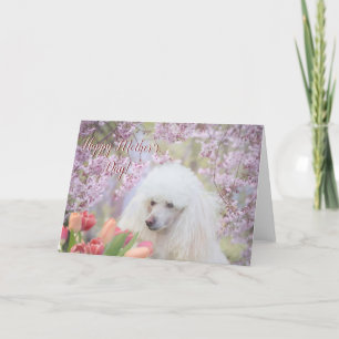 Cartão Happy Mother's Day Poodle dog greeting card