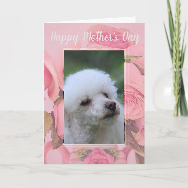 Cartão Happy Mother's Day poodle puppy greeting card (Frente)