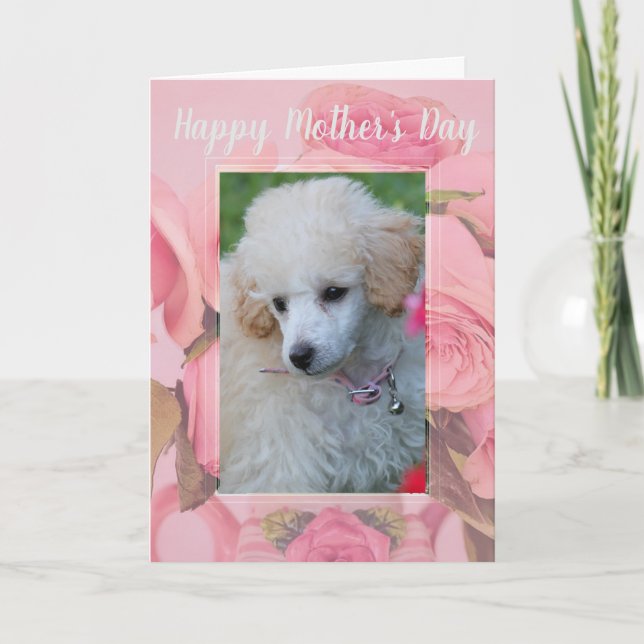 Cartão Happy Mother's Day poodle puppy greeting card (Frente)