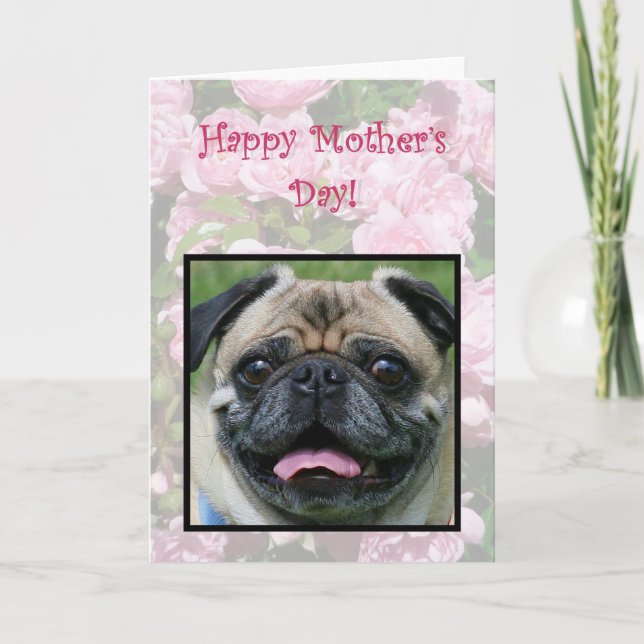 Cartão Happy Mother's Day Pug Dog (Frente)