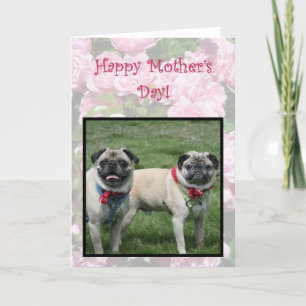 Cartão Happy Mother's day pugs greeting card