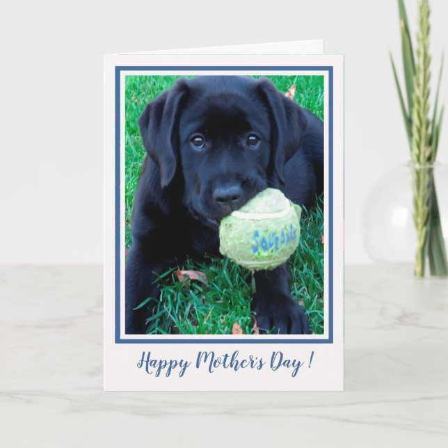 Cartão Happy Mother's Day Puppy Black Labrador - Cute Dog (Frente)