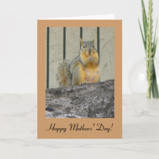 Cartão Happy Mothers' Day Squirrel Card