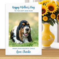 Happy Mother's Day - Teal Dog Photo Best Dog Mom