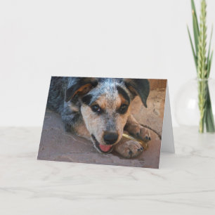 Cartão Happy Mother's Day to Best Mom - Dog Lover