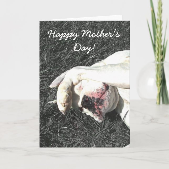 Cartão Happy Mother's Day White boxer greeting card (Frente)