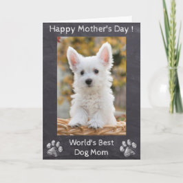 Cartão Happy Mothers Day - World's Best Dog Mom - Photo