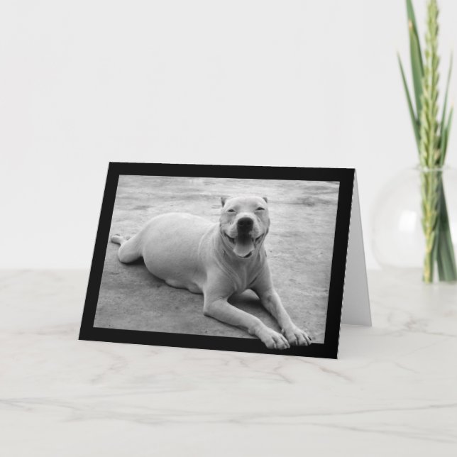 Cartão Happy pitbull greeting card (Frente)