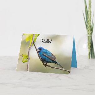 Cartão Happy Spring Greeting Card