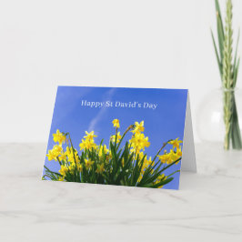 Cartão Happy St David’s Day Daffodils Welsh Greeting
