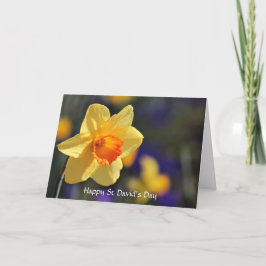 Cartão Happy St David’s Day Spring Daffodil