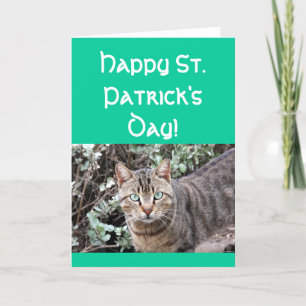 Cartão Happy St. Patricks day cat greeting card