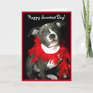 Cartão Happy Sweetest Day Pitbull puppy greeting card