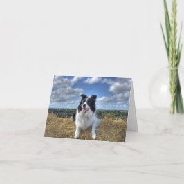 Cartão Happy WoofDay! Sunshine Summer Collie Dog