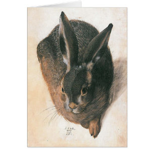 Cartão Hare por Albrecht Durer
