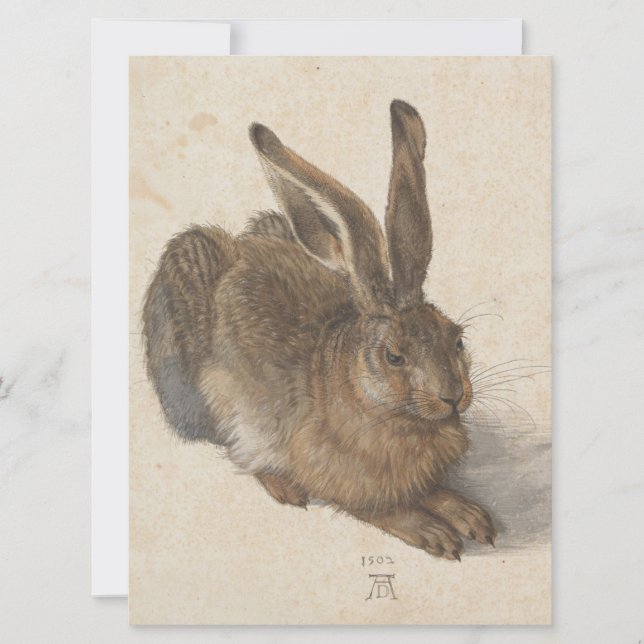 Cartão Hare (por Albrecht Dürer) (Frente)