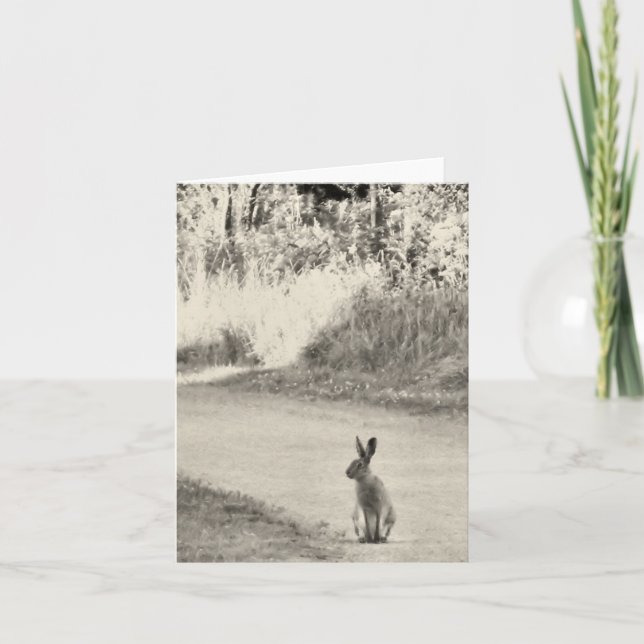 Cartão Hare today (Frente)