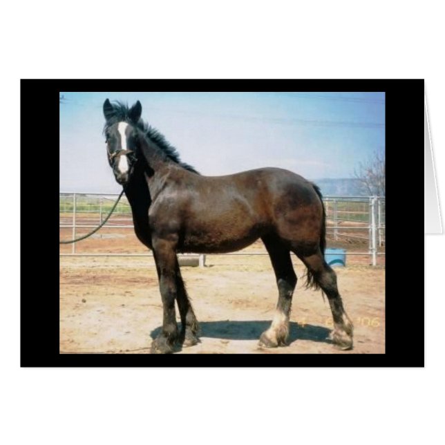 Cartão Harmonia (Frente Horizontal)