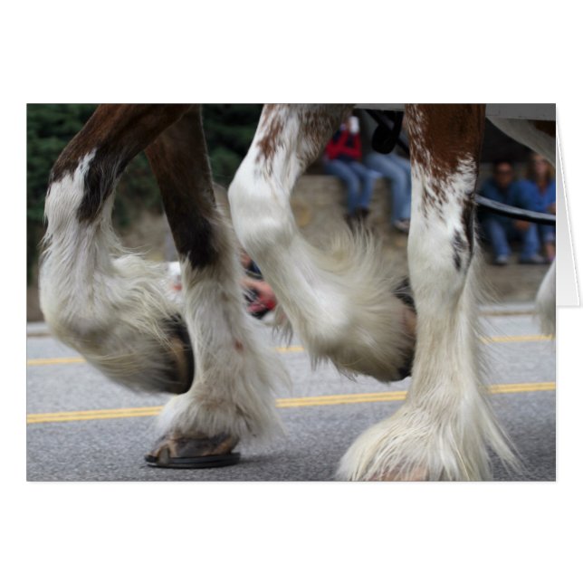 Cartão Harmonia (Frente Horizontal)