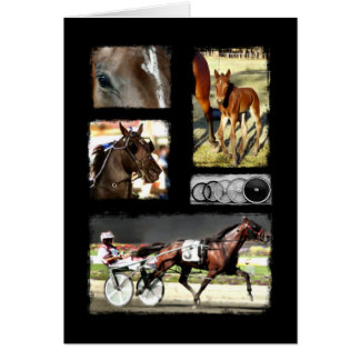 Cartão Harness Racing Sport