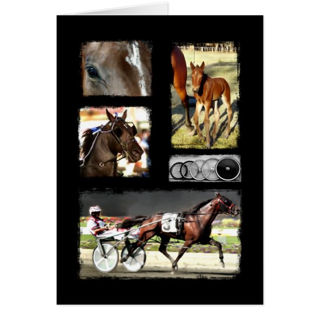 Cartão Harness Racing Sport (Frente)