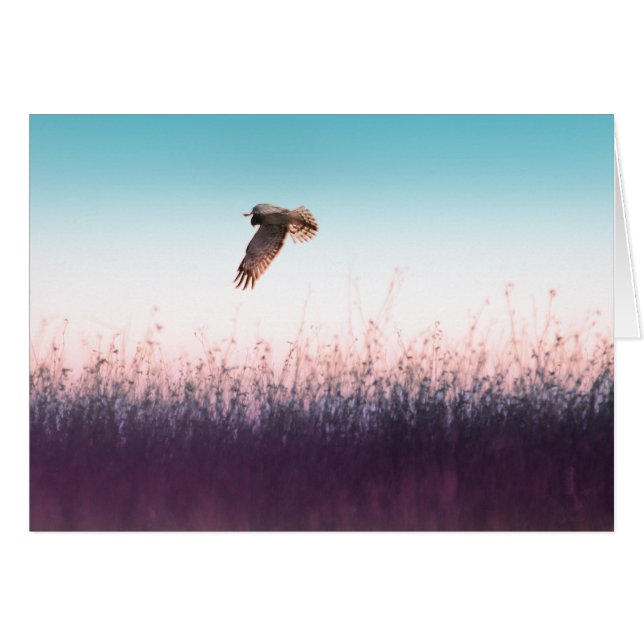 Cartão Harrier Hawk (Frente Horizontal)