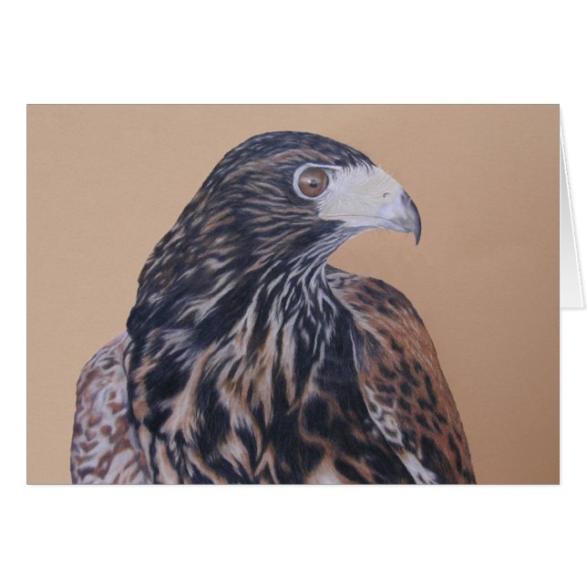 Cartão Harris Hawk imaturo (Frente Horizontal)