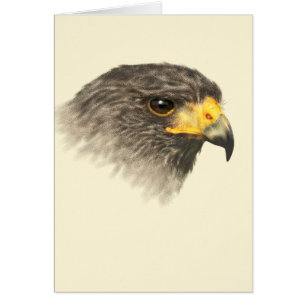 Cartão Harris Hawk - Mídia Mista