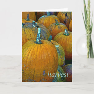 Cartão Harvest