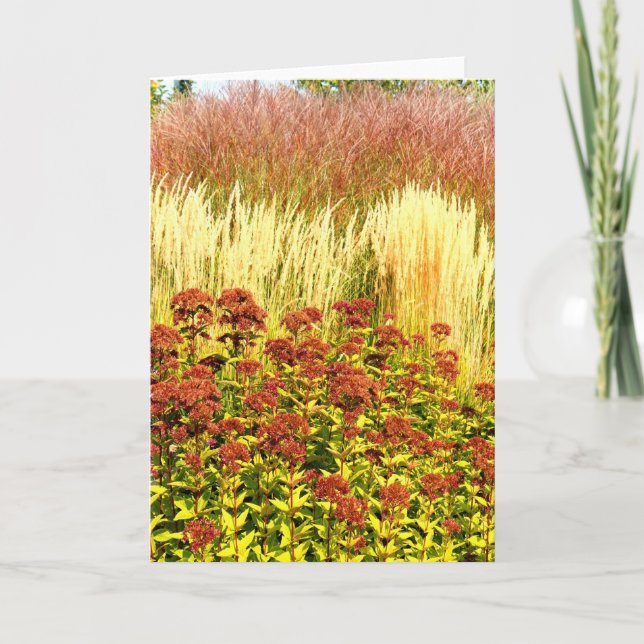Cartão Harvest Note Card Collection (Frente)
