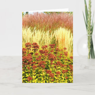 Cartão Harvest Note Card Collection