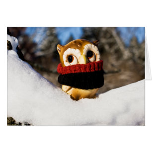 Cartão Harvey, a Coruja IV